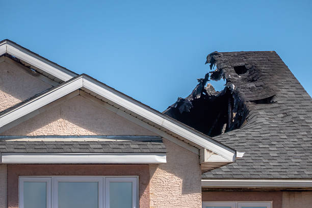 Top rated local Odor Removal specialists in Big Lake, TX